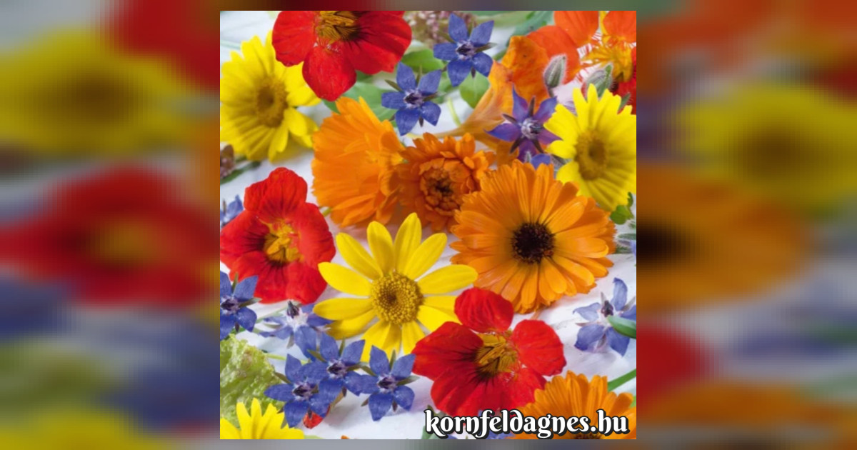 Ehető virágmix magok eladók + AJÁNDÉK