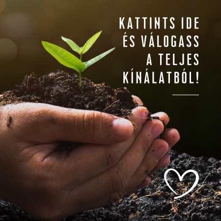 Kornfeld Ágnes teljes kínálat